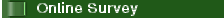 Online Survey
